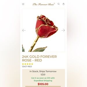 24K Gold Forever Rose - Red